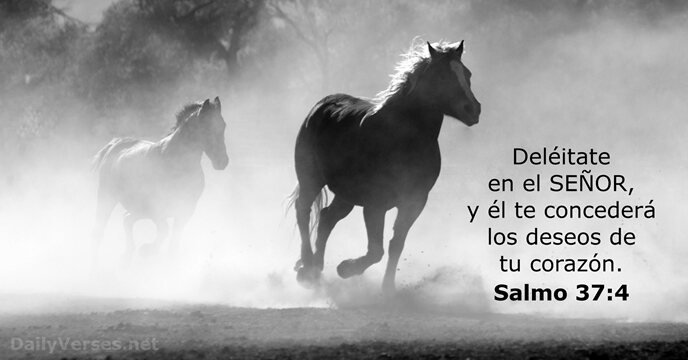 salmos 37:4