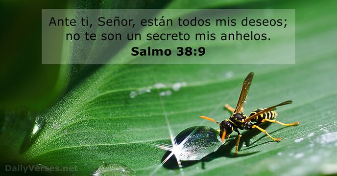 salmos 38:9