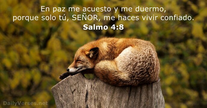 salmos 4:8
