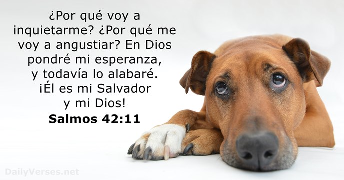 salmos 42:11