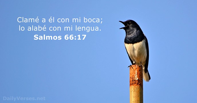 Salmos 66:17