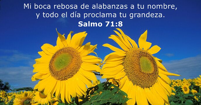 salmos 71:8