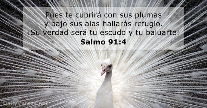 salmos 91:4