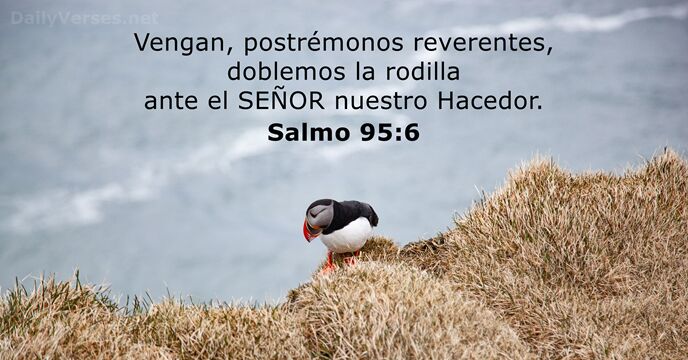 Salmos 95:6