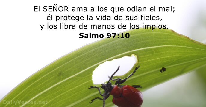 salmos 97:10