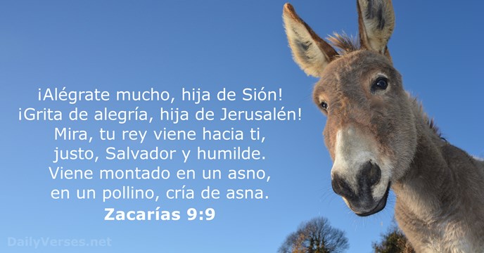 Zacarías 9:9