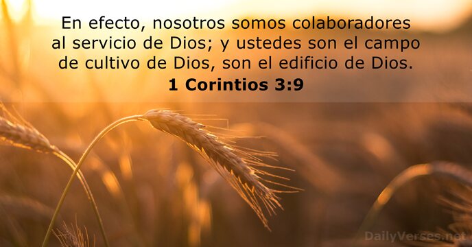 En efecto, nosotros somos colaboradores al servicio de Dios; y ustedes son… 1 Corintios 3:9