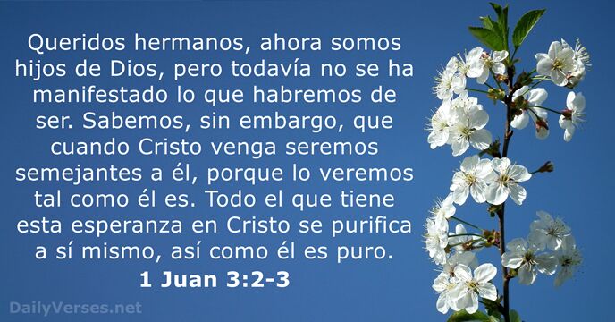 1 Juan 3:2-3