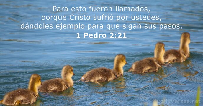 1 Pedro 2:21