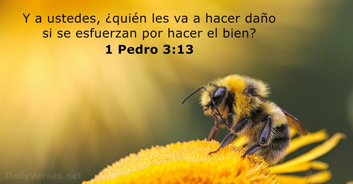 1 Pedro 3:13