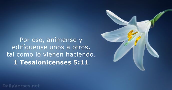 Por eso, anímense y edifíquense unos a otros, tal como lo vienen haciendo. 1 Tesalonicenses 5:11