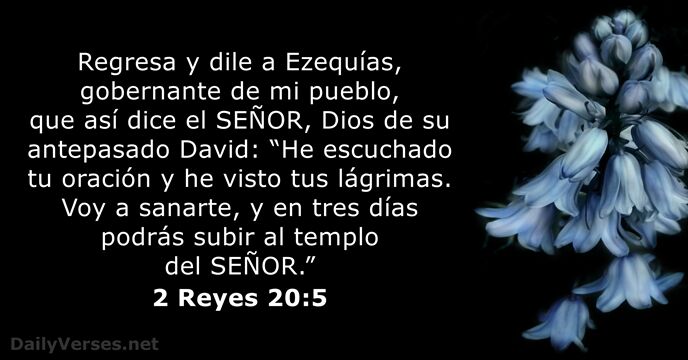 2 Reyes 20:5
