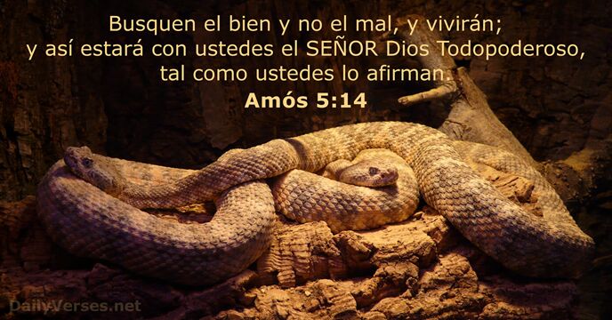 Amós 5:14