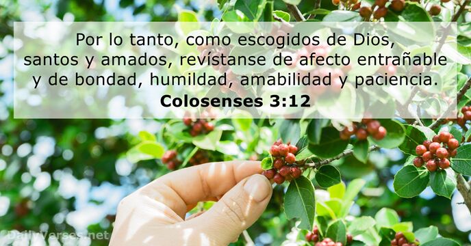 Colosenses 3:12
