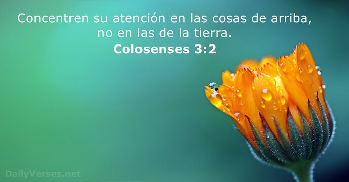 Concentren su atención en las cosas de arriba, no en las de la tierra. Colosenses 3:2