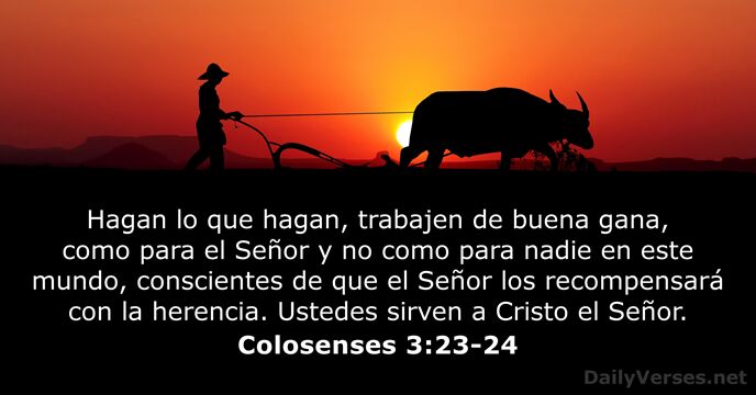 Hagan lo que hagan, trabajen de buena gana, como para el Señor… Colosenses 3:23-24