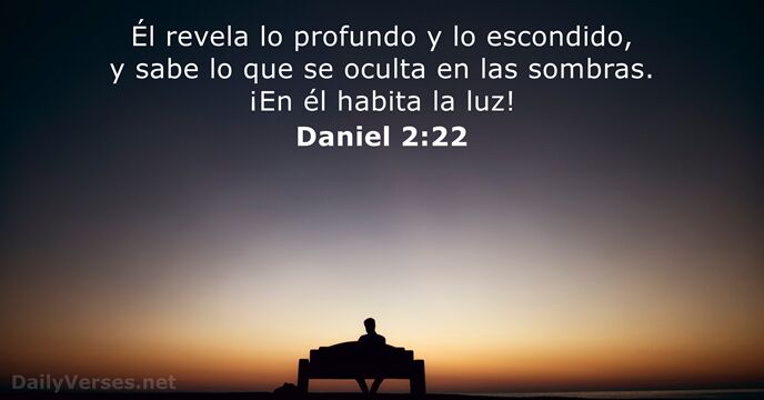 Daniel 2:22
