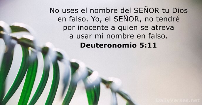 No uses el nombre del SEÑOR tu Dios en falso. Yo, el… Deuteronomio 5:11
