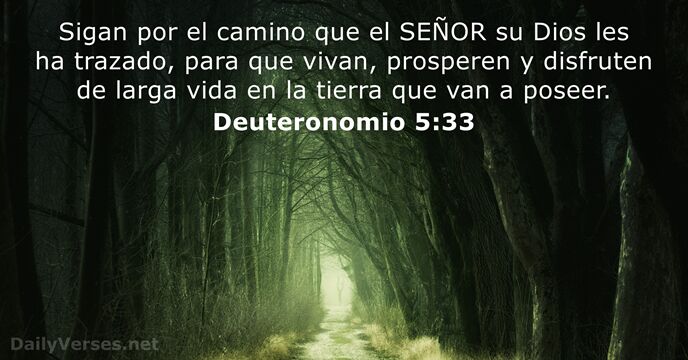 Sigan por el camino que el SEÑOR su Dios les ha trazado… Deuteronomio 5:33