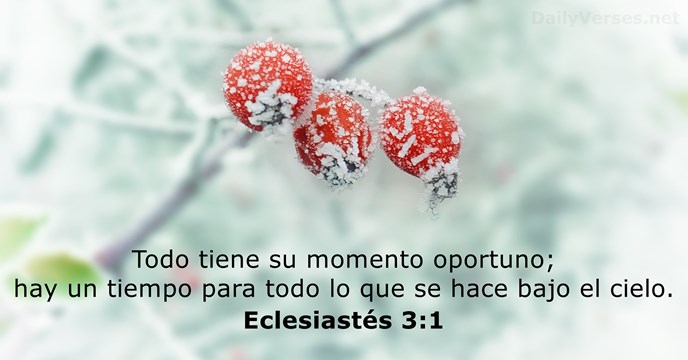 Todo tiene su momento oportuno; hay un tiempo para todo lo que… Eclesiastés 3:1