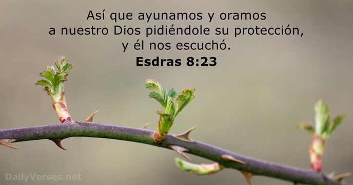 Esdras 8:23