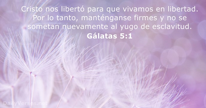 19 Versículos De La Biblia Sobre La Libertad Dailyversesnet