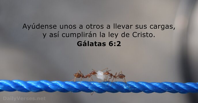Gálatas 6:2