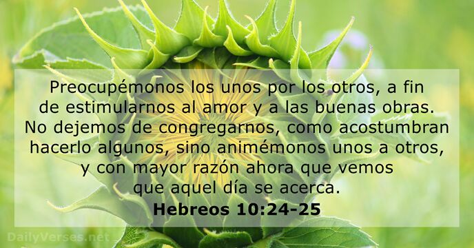 Preocupémonos los unos por los otros, a fin de estimularnos al amor… Hebreos 10:24-25