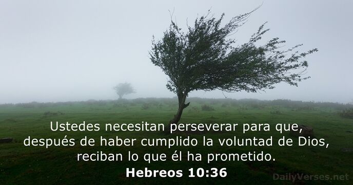 Ustedes necesitan perseverar para que, después de haber cumplido la voluntad de… Hebreos 10:36