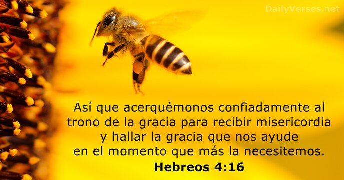 Así que acerquémonos confiadamente al trono de la gracia para recibir misericordia… Hebreos 4:16