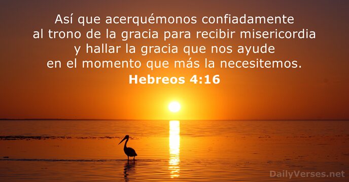 Así que acerquémonos confiadamente al trono de la gracia para recibir misericordia… Hebreos 4:16