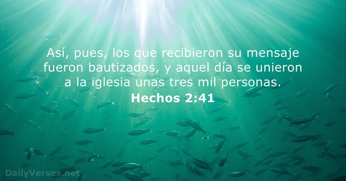 Así, pues, los que recibieron su mensaje fueron bautizados, y aquel día… Hechos 2:41