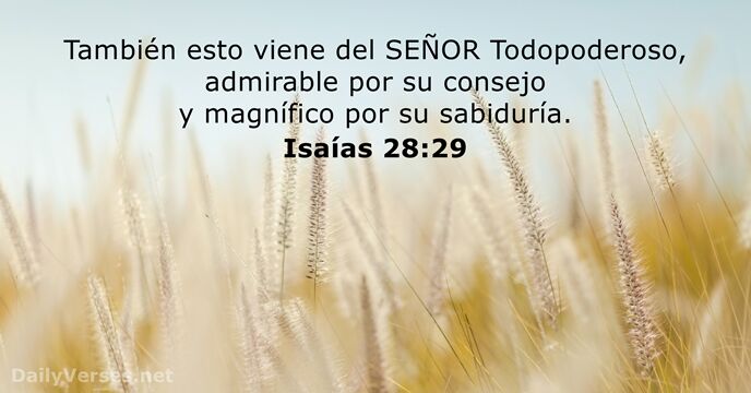 Isaías 28:29