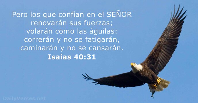 Est mulo La Biblia