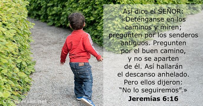 Así dice el SEÑOR: «Deténganse en los caminos y miren; pregunten por… Jeremías 6:16