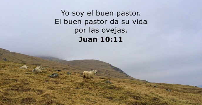 Yo soy el buen pastor. El buen pastor da su vida por las ovejas. Juan 10:11