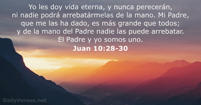 Yo les doy vida eterna, y nunca perecerán, ni nadie podrá arrebatármelas… Juan 10:28-30