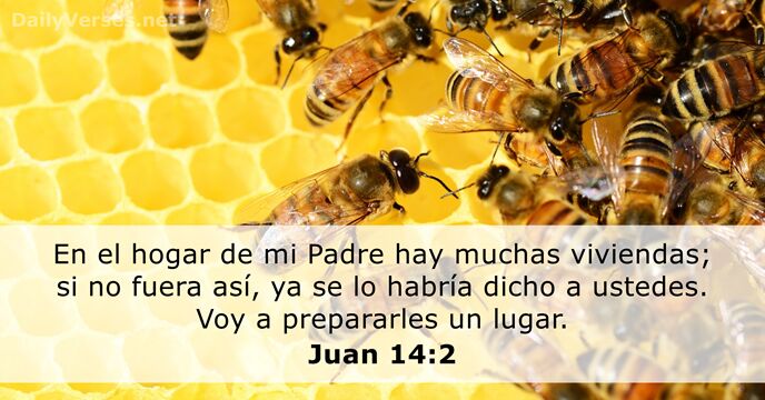 Juan 14:2