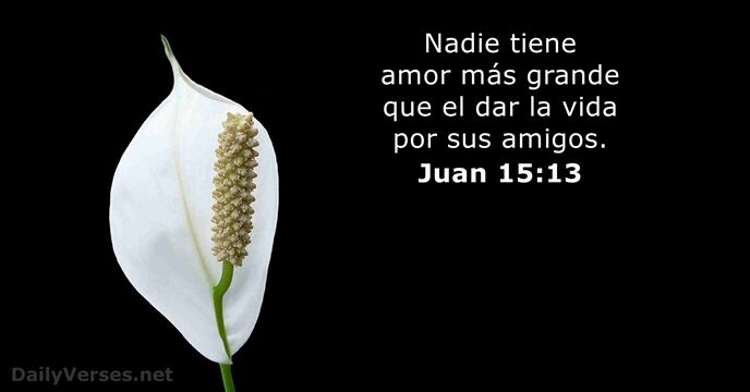 Juan 15:13