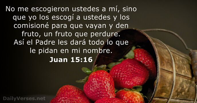Juan 15:16