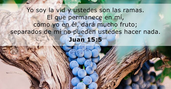 Juan 15:5