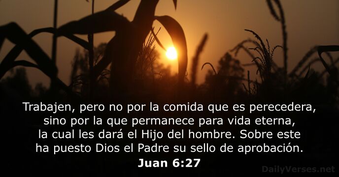 Juan 6:27