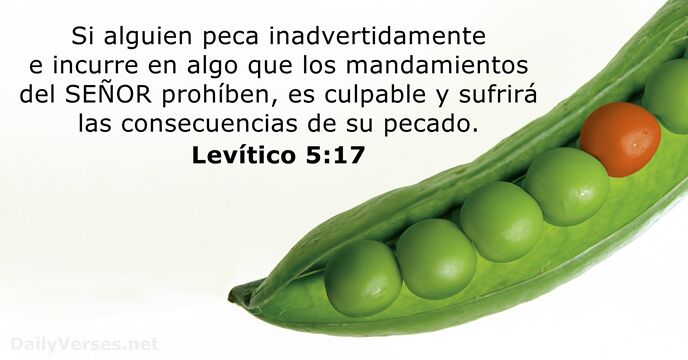 Levítico 5:17