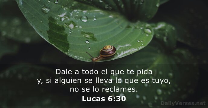 Lucas 6:30