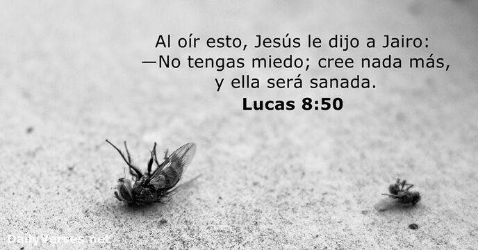 Al oír esto, Jesús le dijo a Jairo: —No tengas miedo; cree… Lucas 8:50