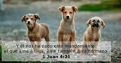 1 Juan 4:21
