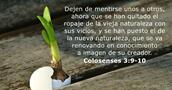 Colosenses 3:9-10