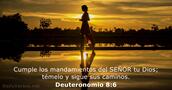 Deuteronomio 8:6