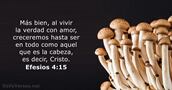 Efesios 4:15