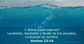 Hechos 22:16